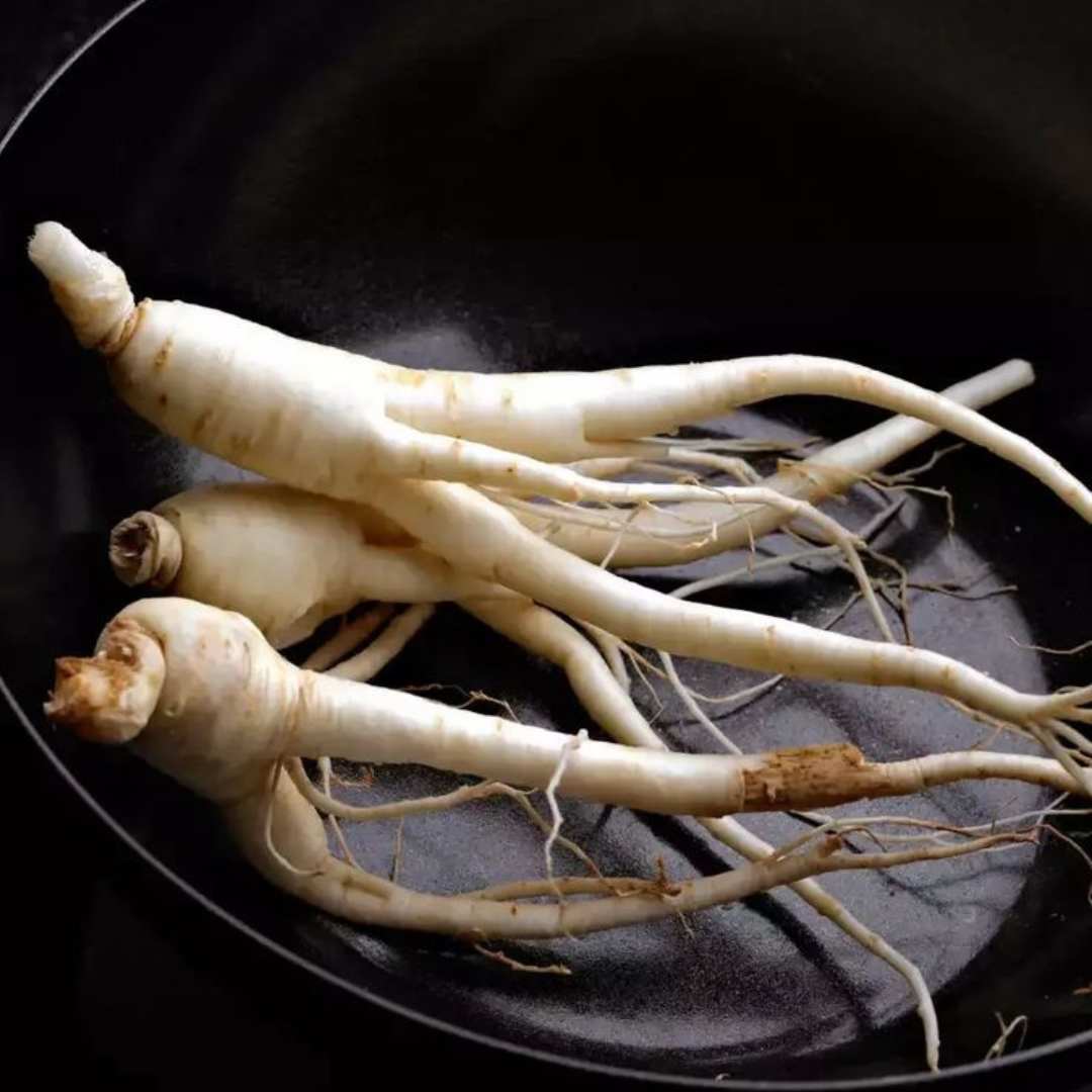 Ginseng_11zon.jpg